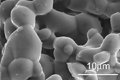 Microporous structure of the PORESORB-TCP material