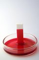 PORESORB-TCP – Demonstration of capillary action