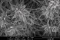 BIO-surface nanostructure