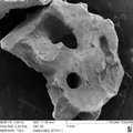 OssaBase-HA macro- and nanoporous structure